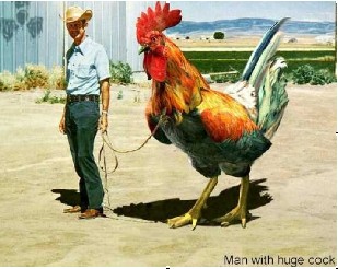 Man with a big cock