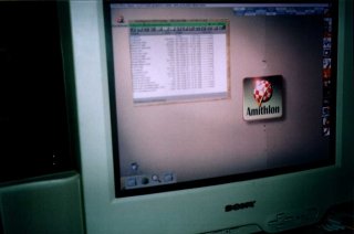 pic11thumb.jpg (11083 bytes)