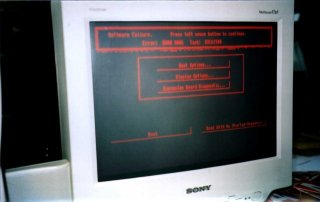 pic12thumb.jpg (11469 bytes)