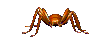 Spider2.gif