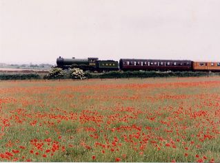poppyland.jpg
