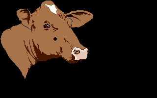 cow.gif