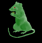 rat.gif