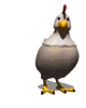 chicken.gif