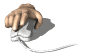 computermouse.gif