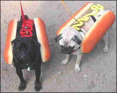 HotDogs