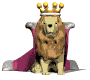 lion.gif