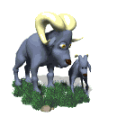 ram.gif