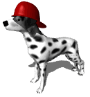 dalmatian.gif