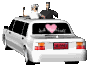 bridegroomcar.gif