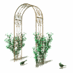 gardenarch.gif
