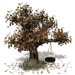 treeswing.gif