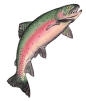 trout.gif