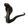 cobra.gif