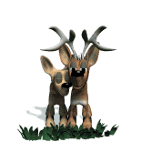 deers.gif