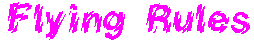 flyingrules.gif