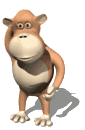 monkey.gif