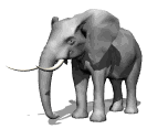 elephant.gif