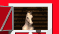 horse.gif