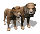 lions.gif