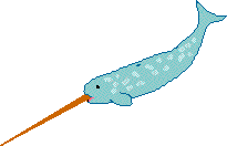 narwhal