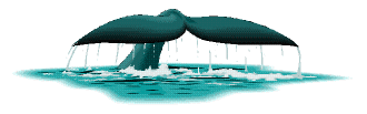 whaletail.gif