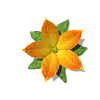 flowerorange.gif