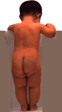 image7.gif