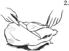 side-2.jpg