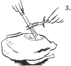 side-3.jpg