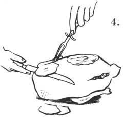 side-4.jpg