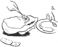 side-5.jpg