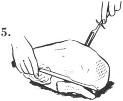standard-5.jpg