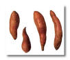 sweetpotato.jpg