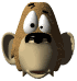 monkeyblink.gif