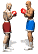boxersfight.gif