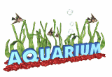 aquarium.gif