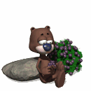 brownbear.gif