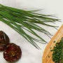 chives2.jpg