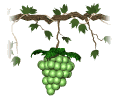 grapesgreen.gif