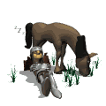 knightnap.gif