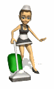 maidvac.gif