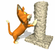 scratchingpost.gif