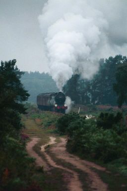 heathland.j