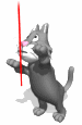 catstring.gif