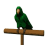parrot.gif