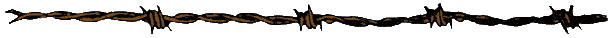 wire2.gif