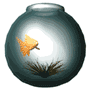 goldfish.gif