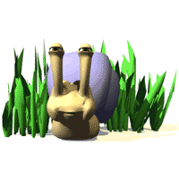 snail.gif