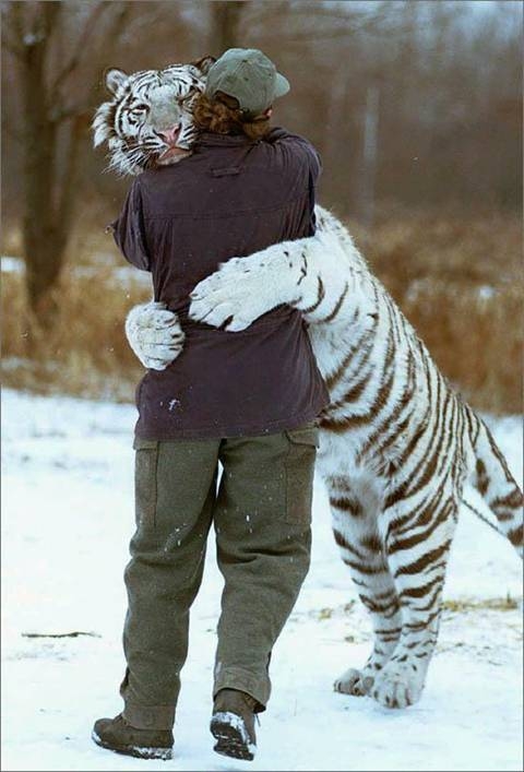 Images/Hug.jpg
